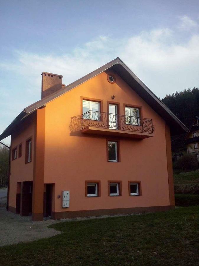 Noclegi U Gosi Ustrzyki Dolne Exterior foto